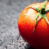 Is the Tomato a Vegetable or a Fruit? The Great Tomato Debate