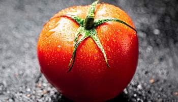 Is the Tomato a Vegetable or a Fruit? The Great Tomato Debate