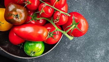 Tomato Types: a tasty journey through the tomato kingdom