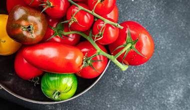 Tomato Types: a tasty journey through the tomato kingdom