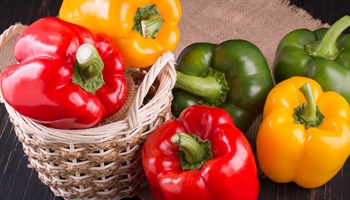 The Perks of Peppers: A Colorful Guide to This Versatile Veggie