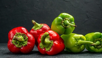 Pepper Diseases: Keeping Your Plants Healthy and Happy