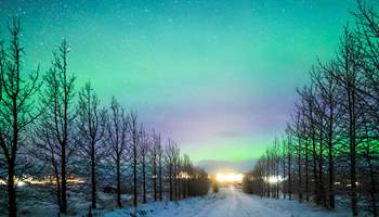 Where to See the Aurora Borealis