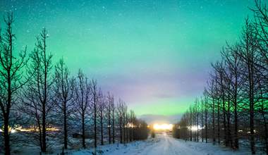 Where to See the Aurora Borealis