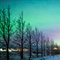Where to See the Aurora Borealis